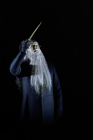 <a href='http://www.movierental.com/link/potter'>Harry Potter</a> and the Cursed Child_Broadway_Production Photos_2021_Edward James Hyland_HR