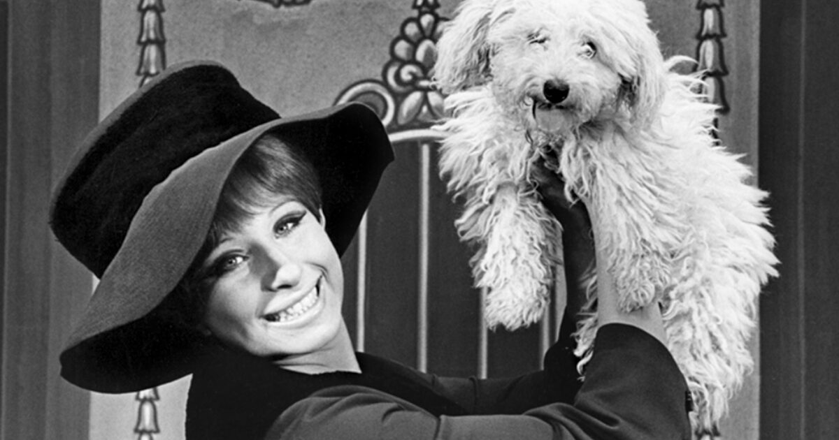 Look Back at Barbra Streisand in Funny Girl on Broadway Playbill