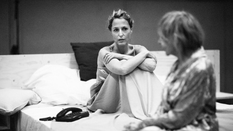 //assets.playbill.com/editorial/c737202cf697f12dac32a7bdf9105bce-gillian-anderson-sheila-reid.-Photography-by-Jan-Versweyveld.jpg