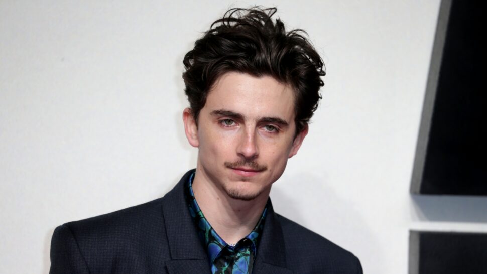 Timothée Chalamet 2025 HR