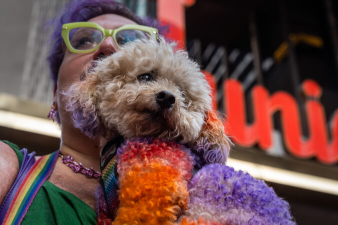 Broadway Barks 2024 HR