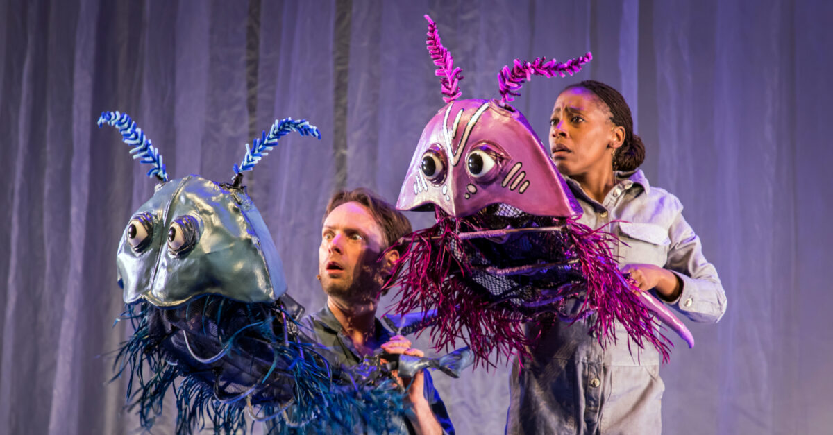 Check Out Photos of the Riddle of the Trilobites at the New Victory ...