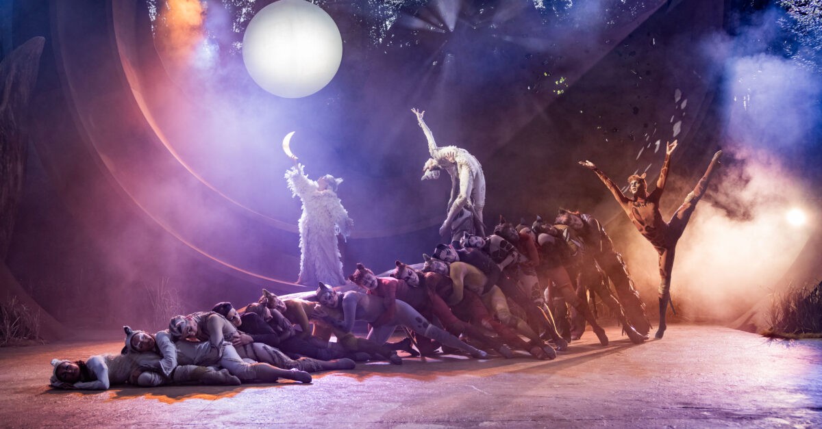 Photos: A New Cats Takes the Stage in London