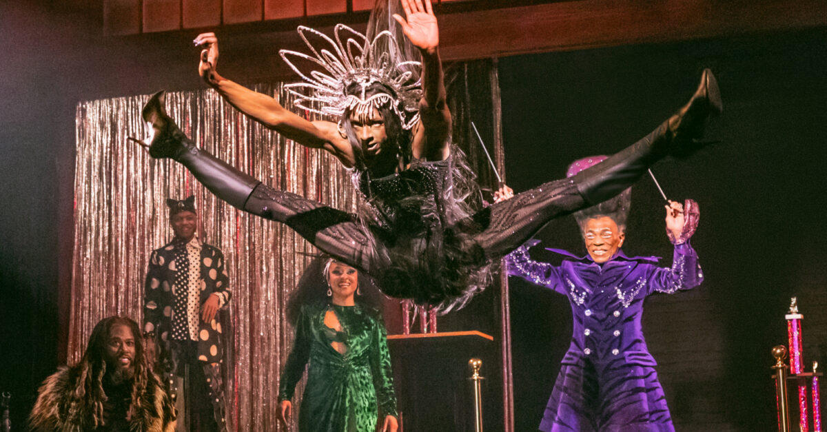 Reviews: What Do the Critics Think Of Cats: The Jellicle Ball on Broadway?