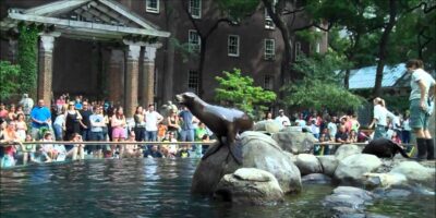5 Great Outdoor Activities for NYC Families