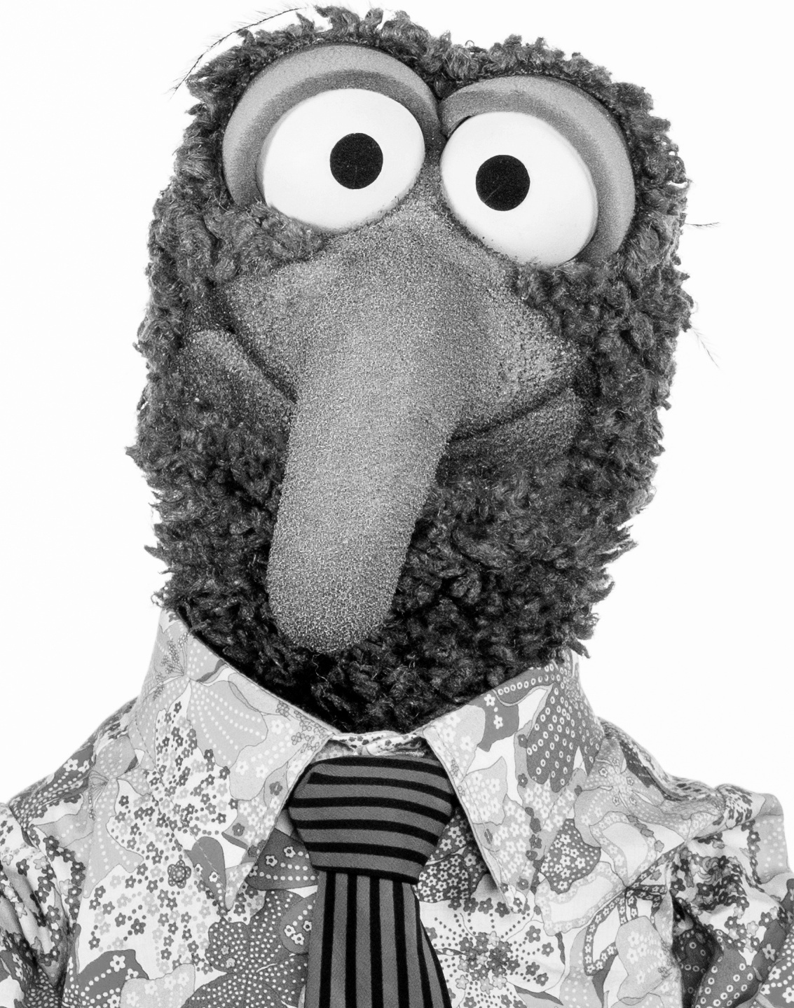 The Great Gonzo