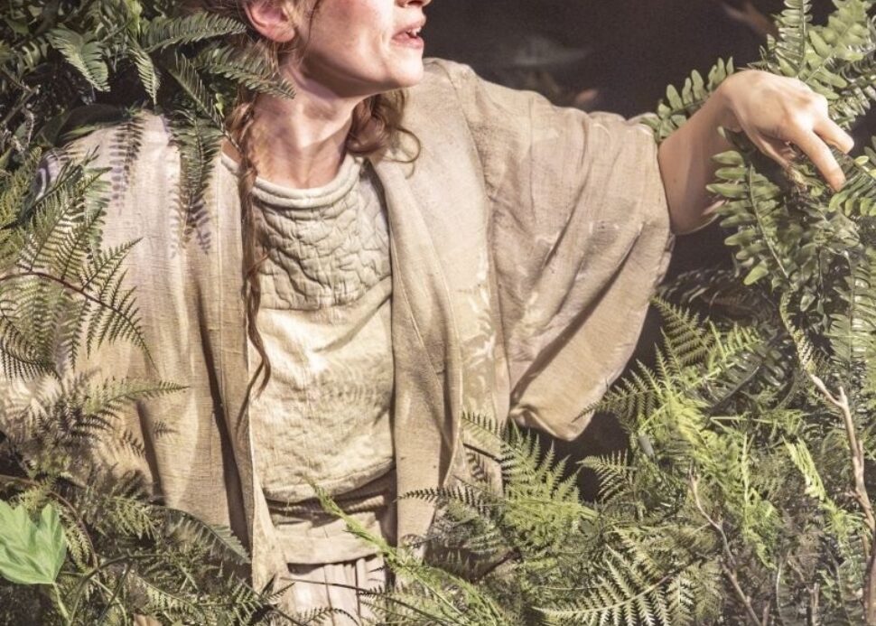 Homepage Into the Woods