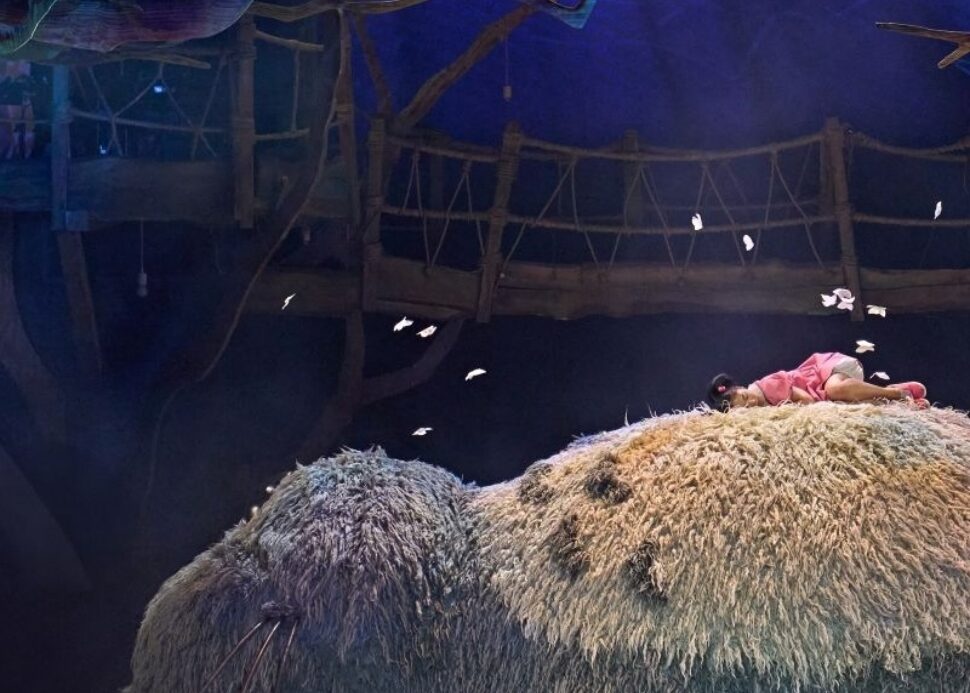 Homepage My Neighbour Totoro