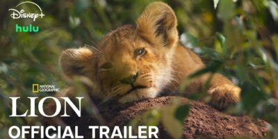 Trailer Released for Jon Favreau-Produced National Geographic Lion Series